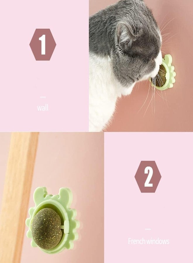 MVM Enterprise Catnip Balls, Bite Lick Chew Toys, Interactive Cat Treat Ball, Appetite Stimulant and Digestive Aid, Catnip Wall Balls for Cats Exercise (1 pcs) - Image 5